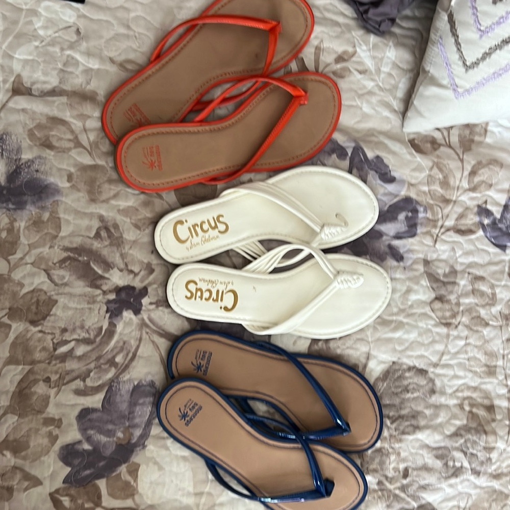 A bundle of 3 flip-flops